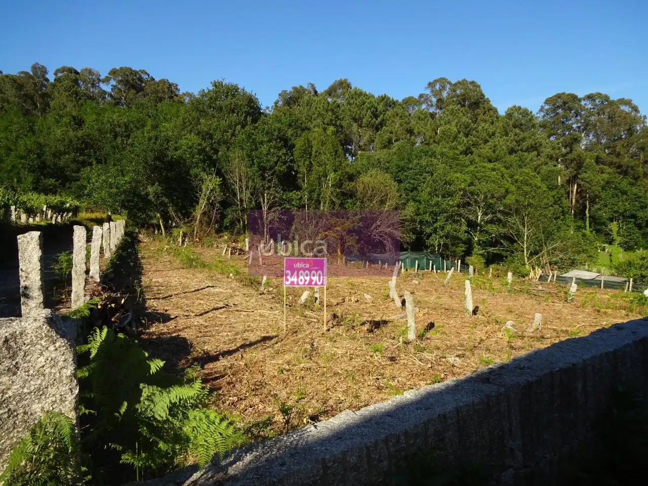 Lands and plots for sale in Salceda de Caselas, imagen 7