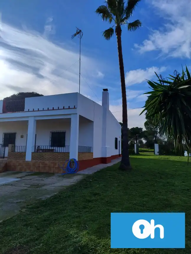 Vista exterior de Finca rústica en venta en Bonares