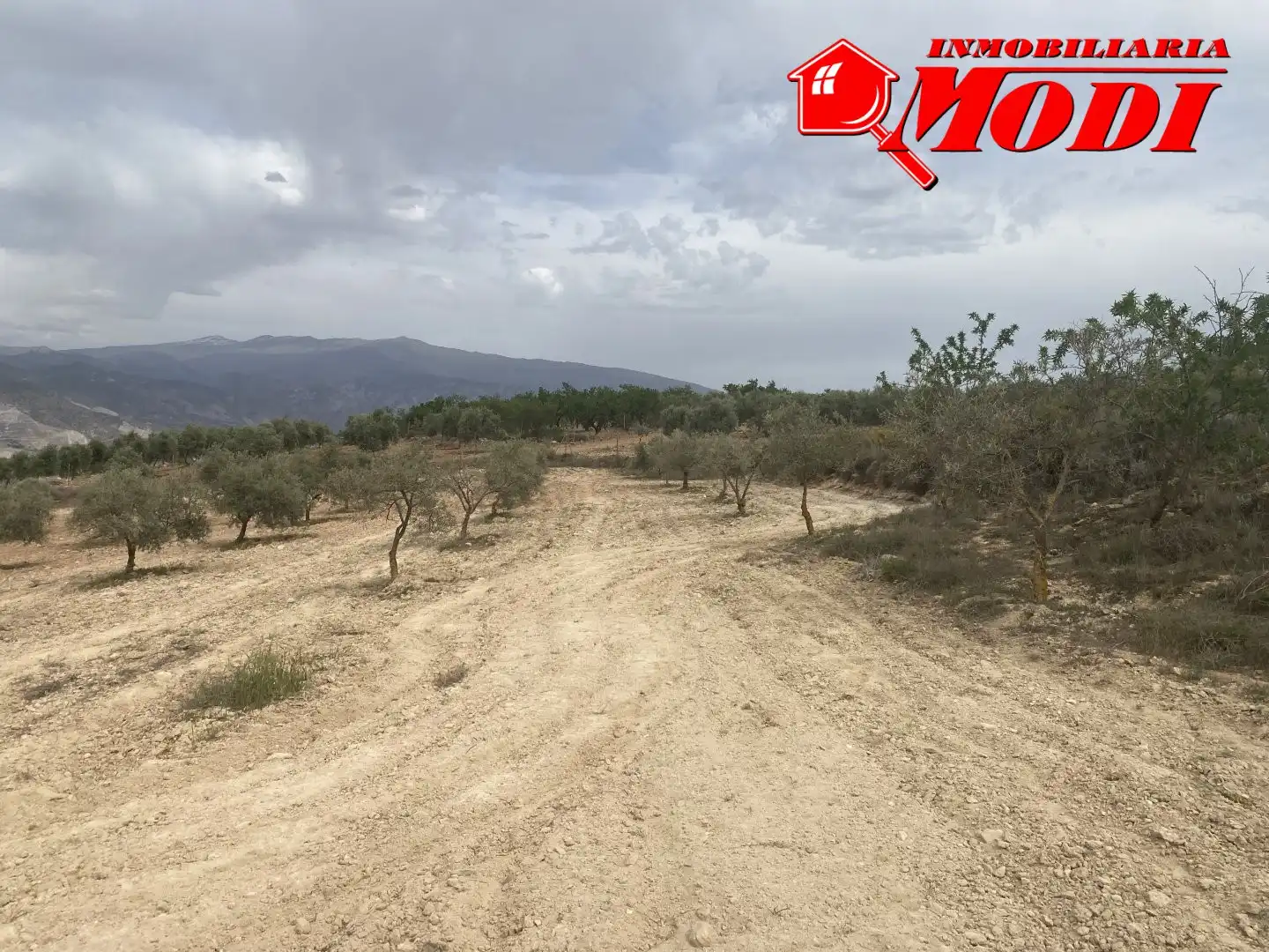 Terrenys i solars en venda a Padul, imagen 14