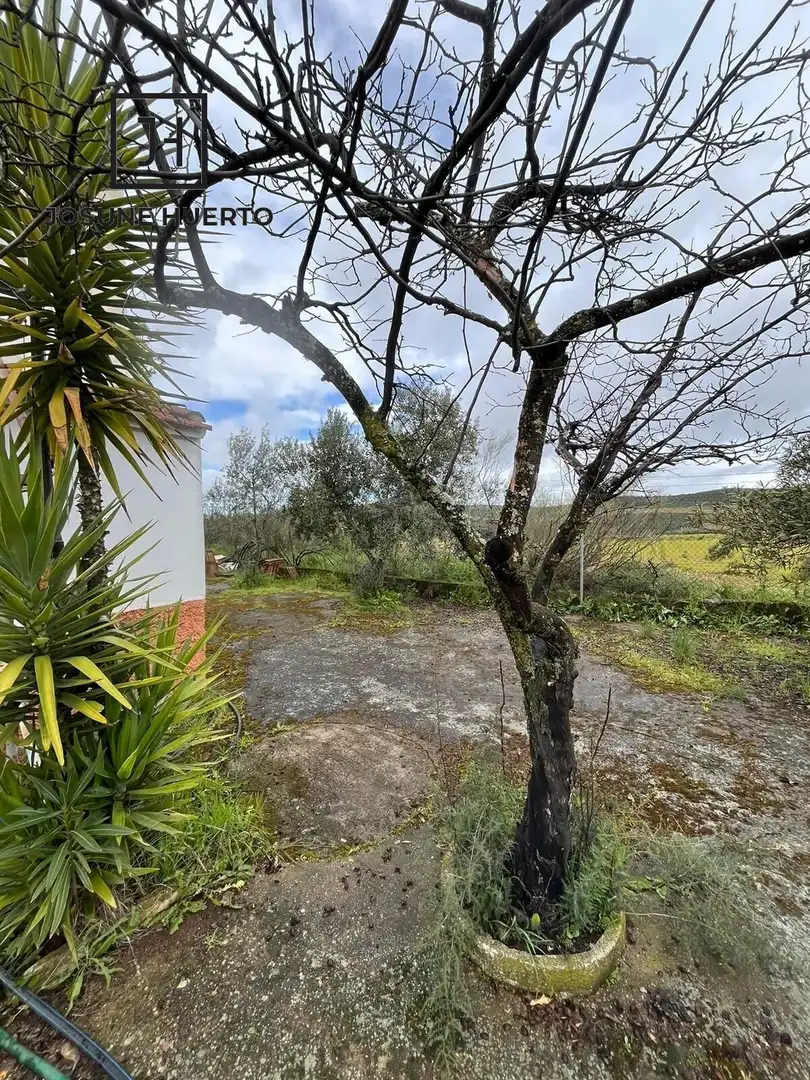 Finca rústica en venta en Quintana de la Serena con Calefacción y Jardín privado