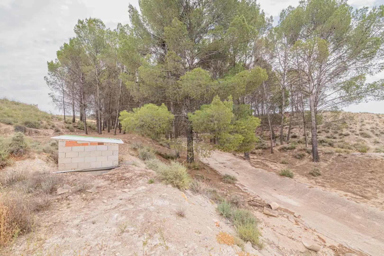 Terreni e lotti in vendita a Baza, imagen 16