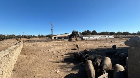 Photo 3 of Land for sale in Pozoblanco, Córdoba
