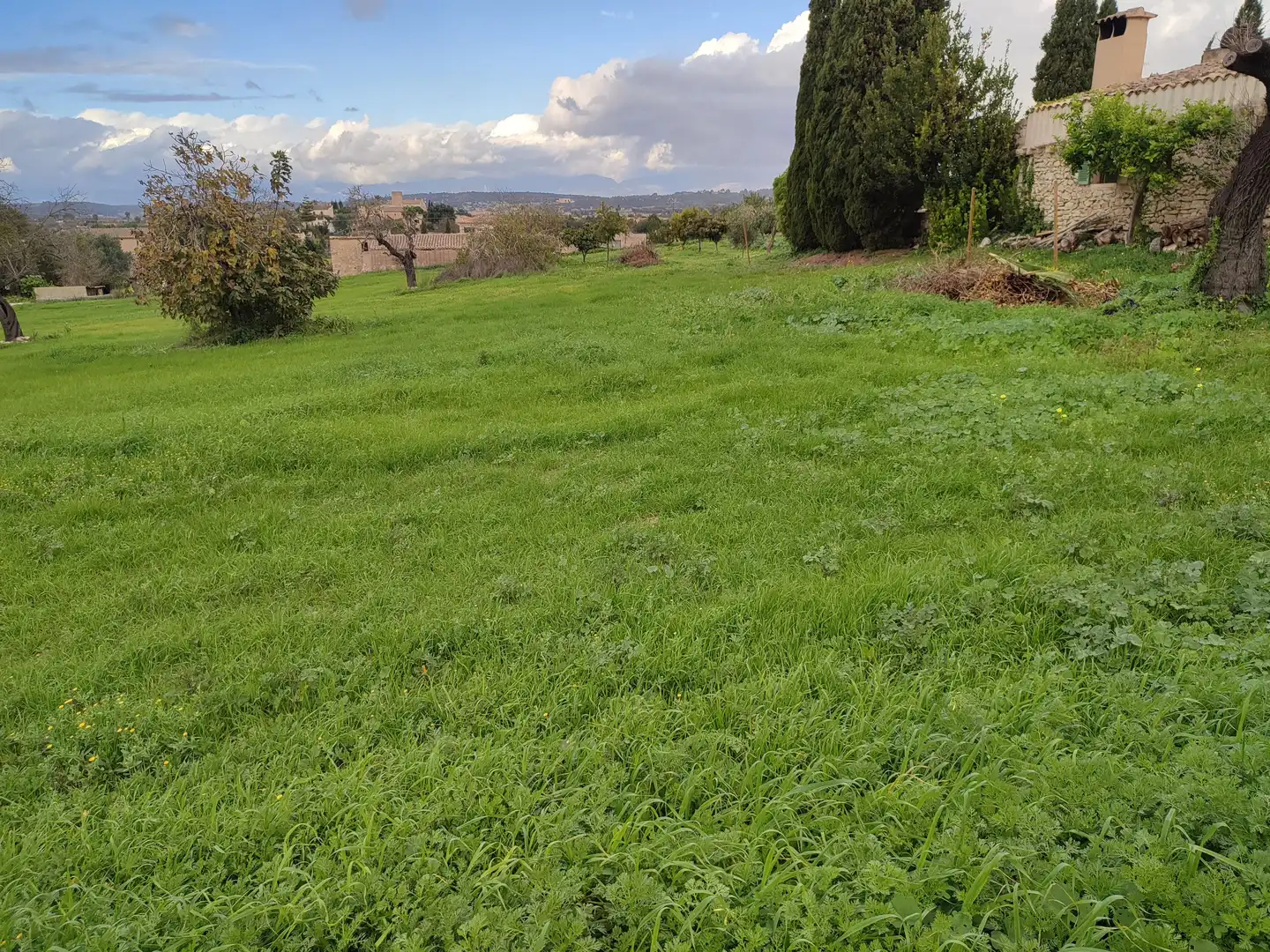 Terreno residenziale in vendita a Montuïri, imagen 3