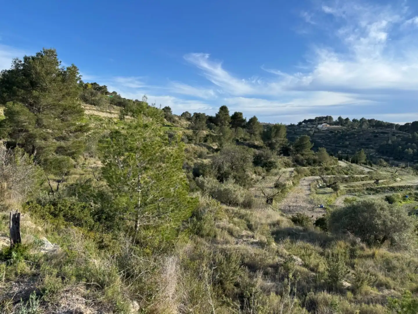 Wohnbaugrundstück zum Verkauf in Benissa pueblo, imagen 10