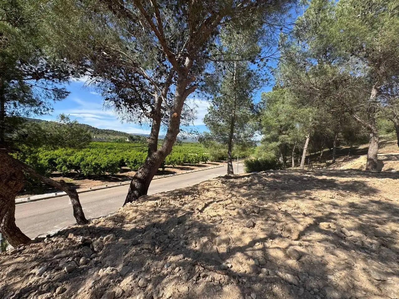 Terreny residencial en venda a Calle Calle Salzes, imagen 5