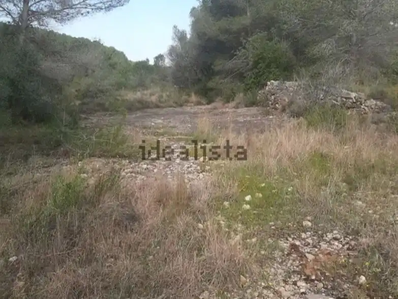 Terreny rústic en venda a Avinguda Catalunya 40, imagen 2