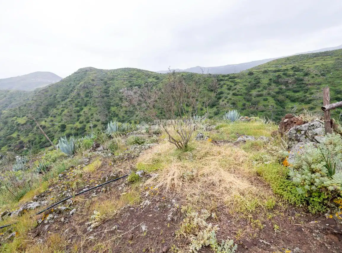 Maison rustique à vendre à Caserones - La Higuera, imagen 20