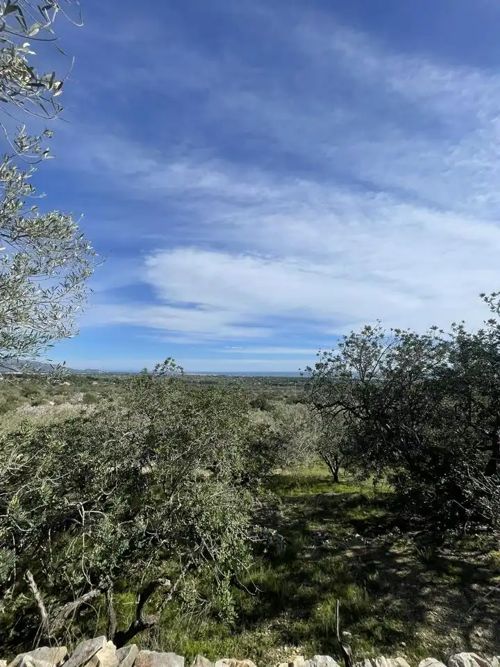 Finca rústica en venta en L'Ametlla de Mar 