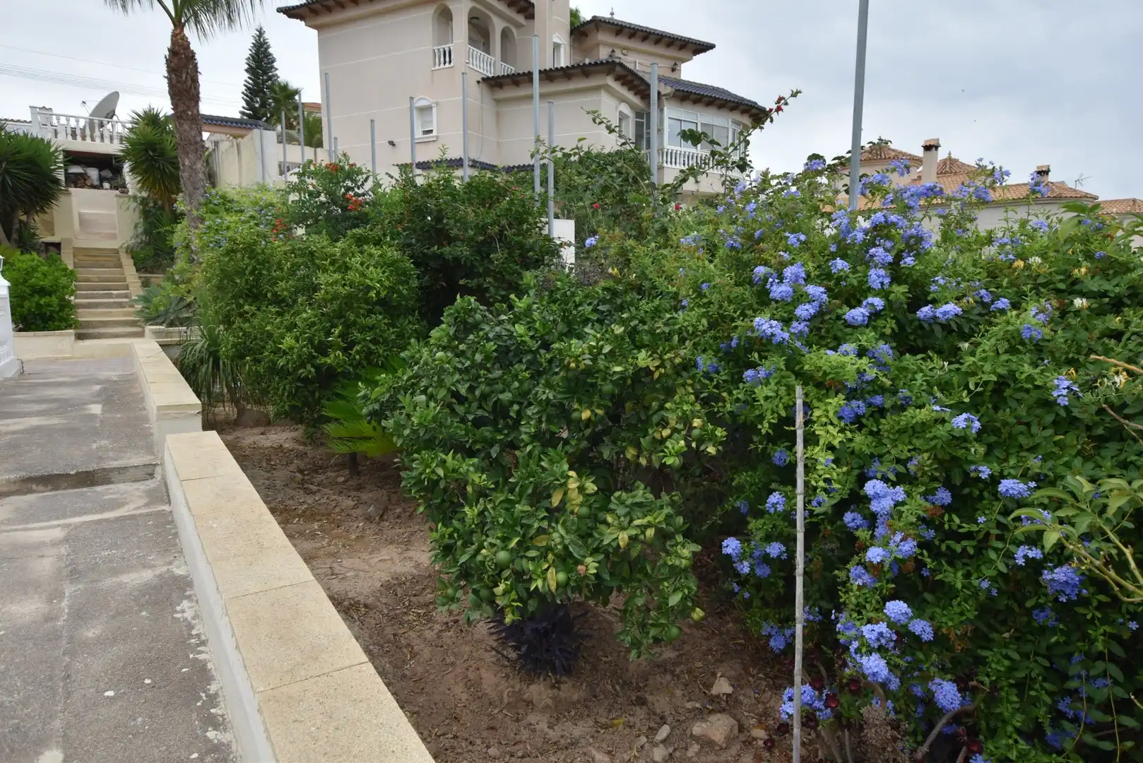 Studio à vendre à Algorfa, imagen 37