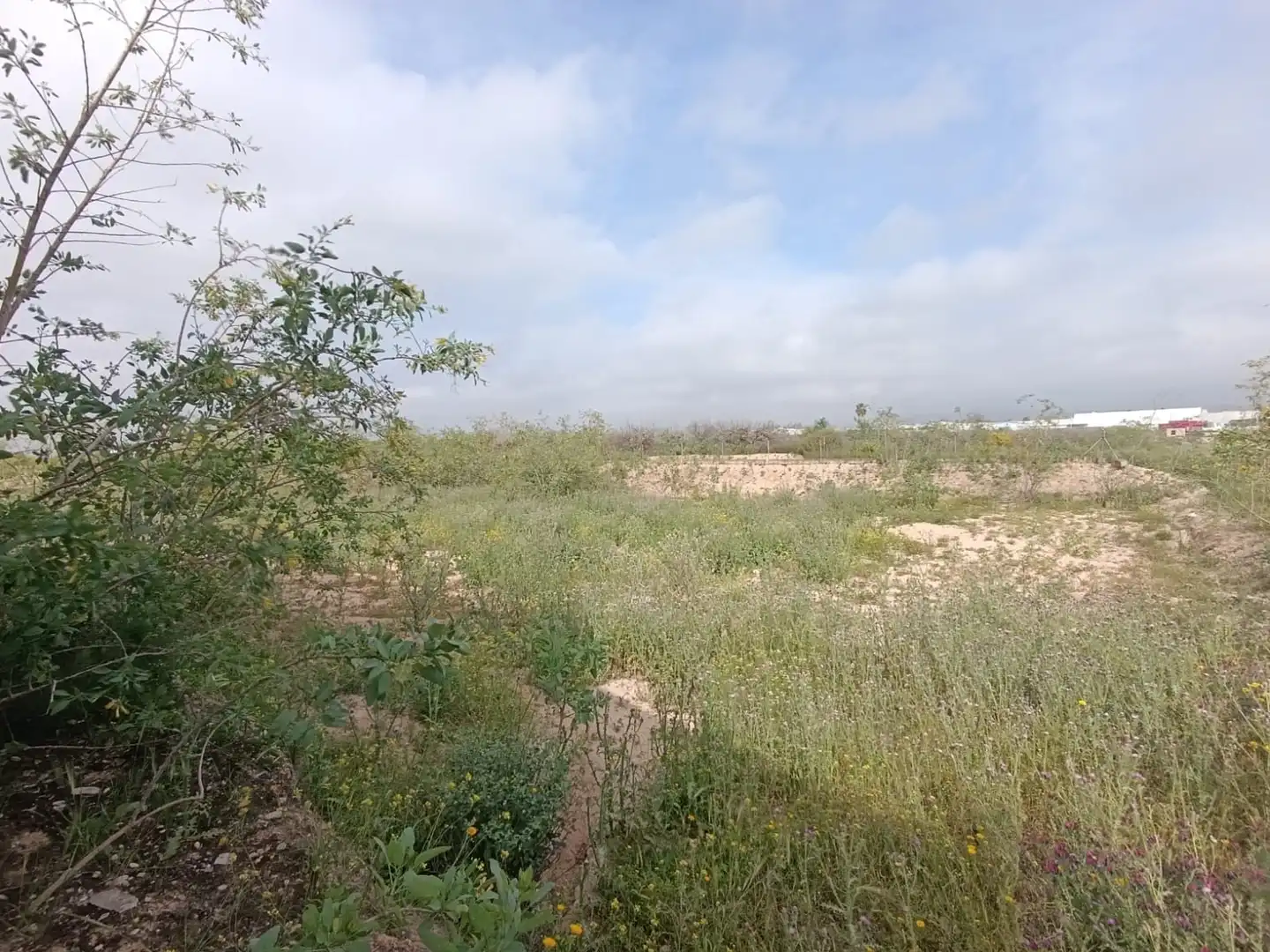 Residential for sale in Librilla