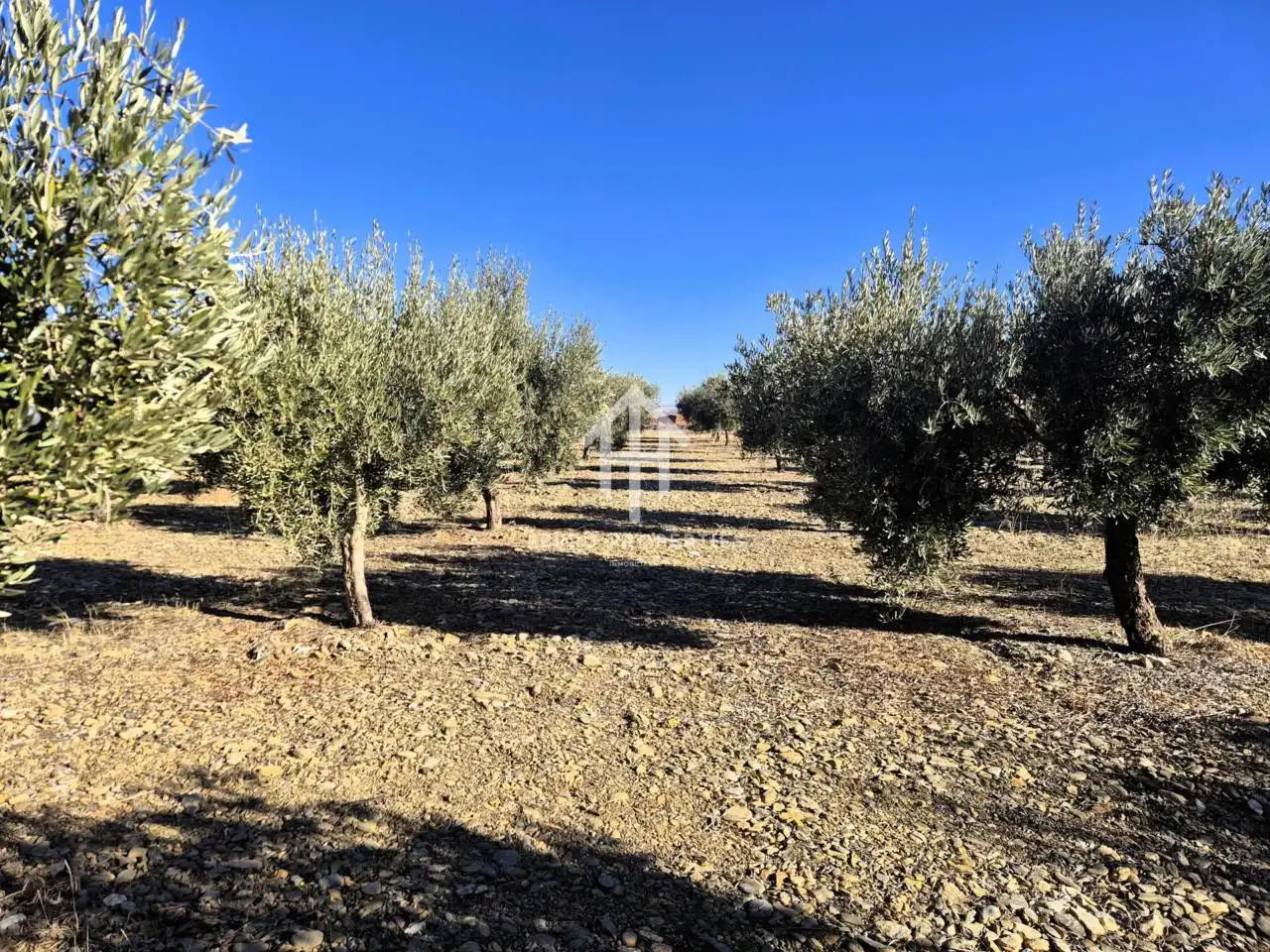 Lands and plots for sale in Lanteira, imagen 20