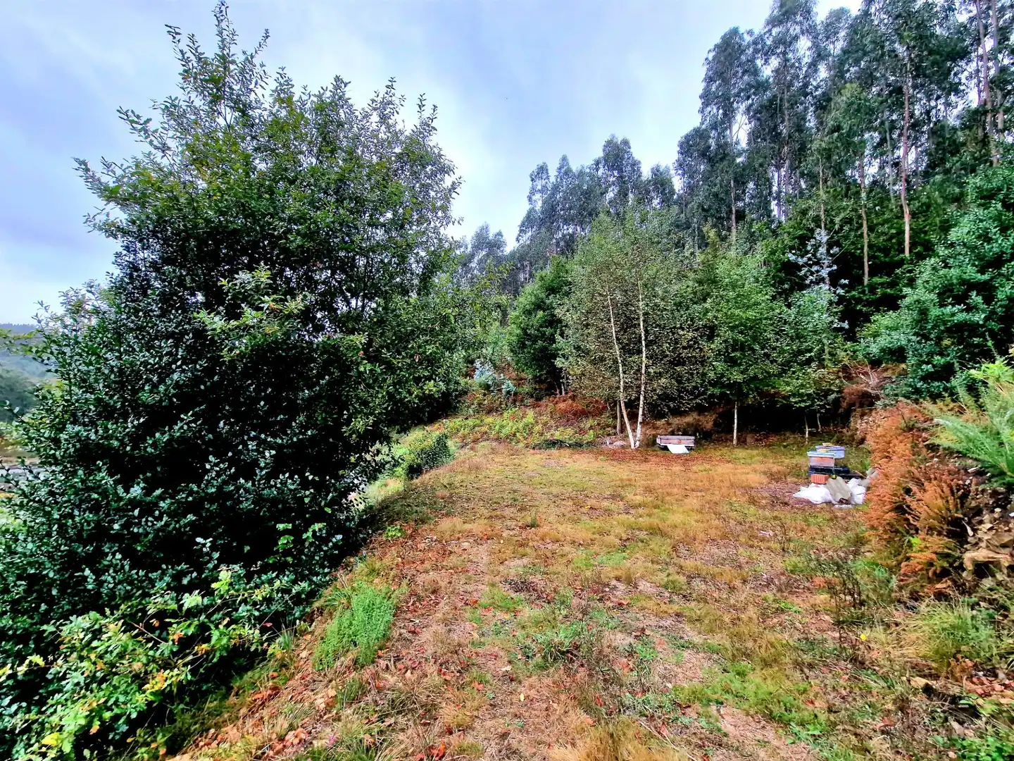 Haus mit Garten zum Verkauf in Ribadeo, imagen 32