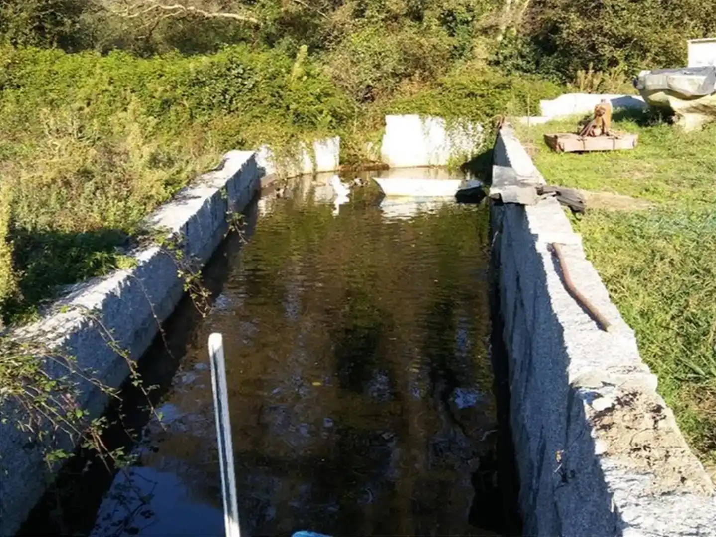 Piscina de Finca rústica en venta en Área Rural