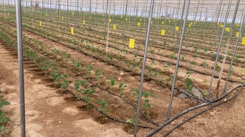 Foto 4 de Residencial en venda a Pozo de los Frailes - Presillas - Albaricoques, Almería