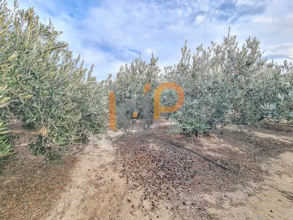 Terrenys i solars en venda a Huércal-Overa, imagen 11