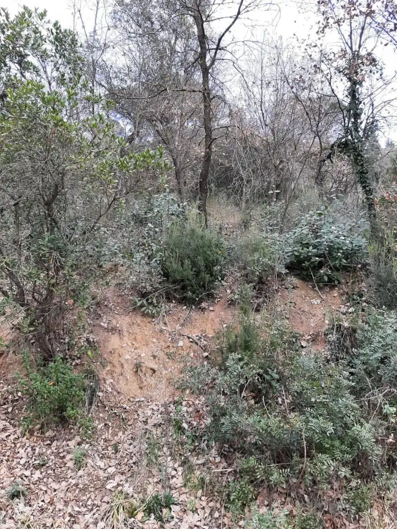 Terreny residencial en venda a Riells i Viabrea, imagen 3