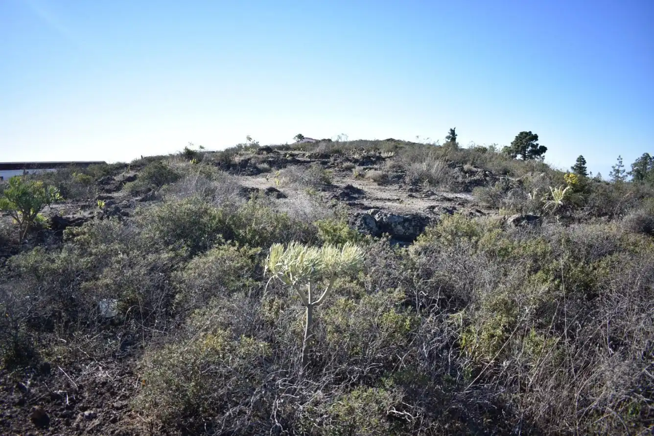 Terrenos y solares en venta en Vilaflor de Chasna, imagen 23