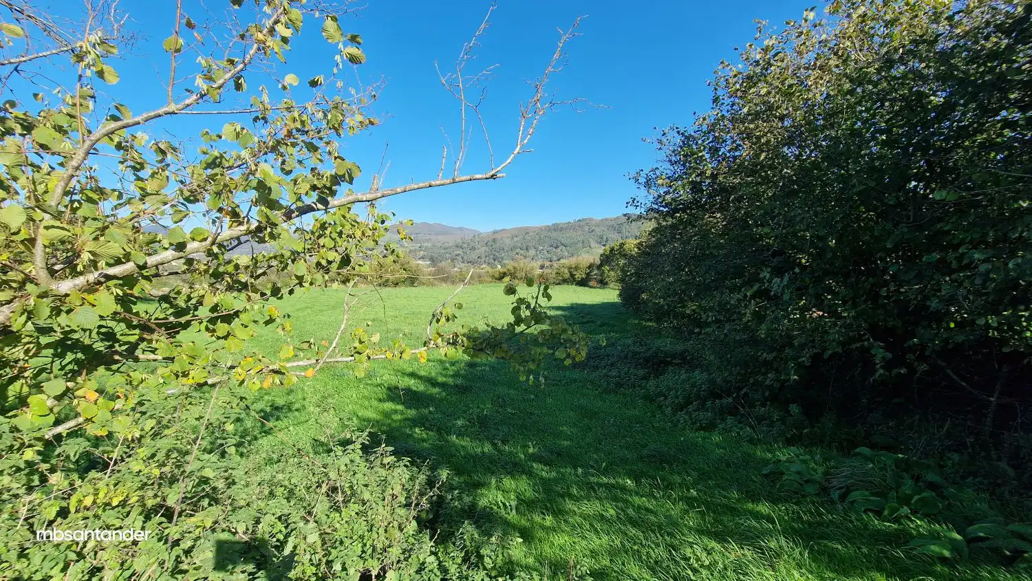 Finca rústica en venta en Molledo