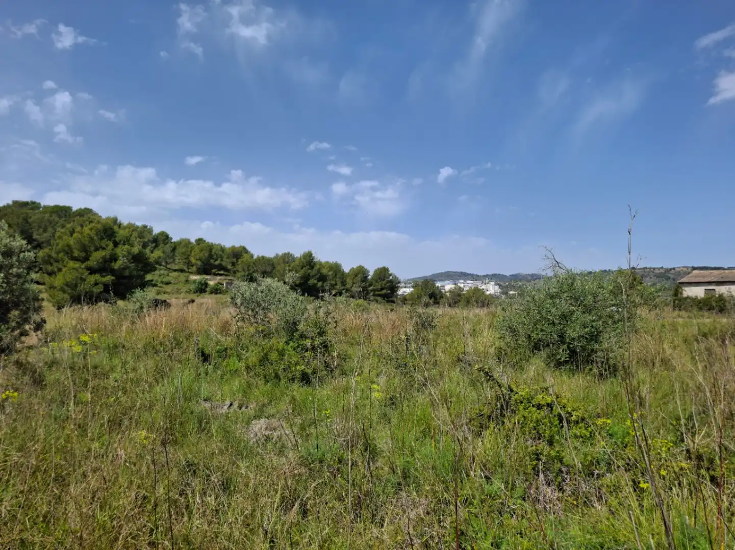 Maison rustique avec jardin à vendre à Teulada, imagen 18