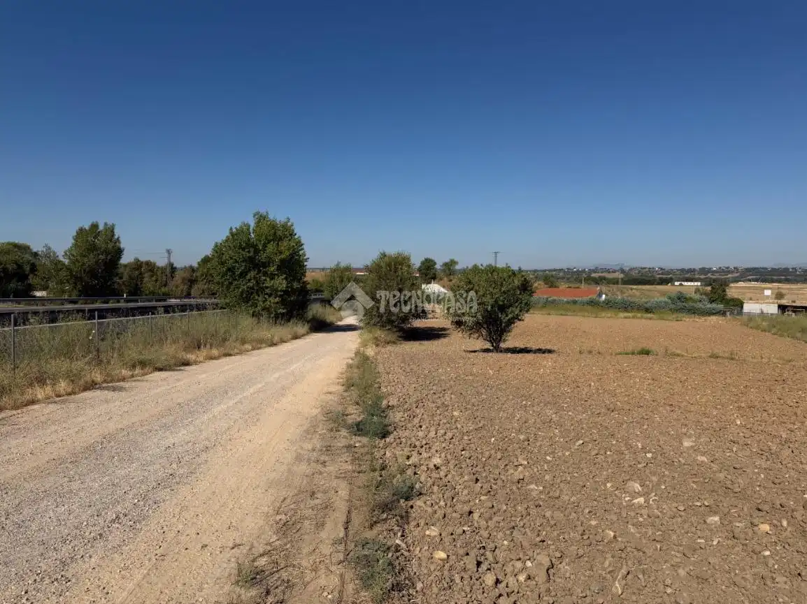 Terreny rústic en venda a Fuente El Saz de Jarama, imagen 6
