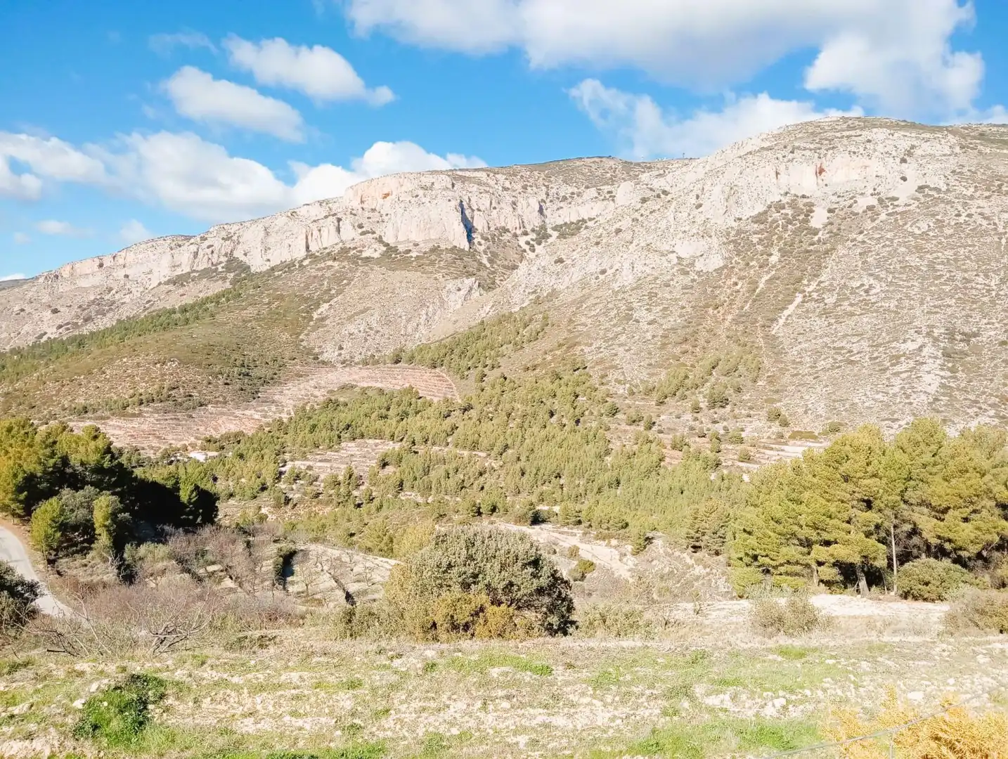 Casa rústica en venda a Sella, imagen 21