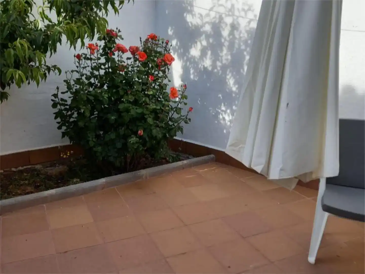 Terrassa de Casa adosada en venda en Torre de Juan Abad amb Balcó