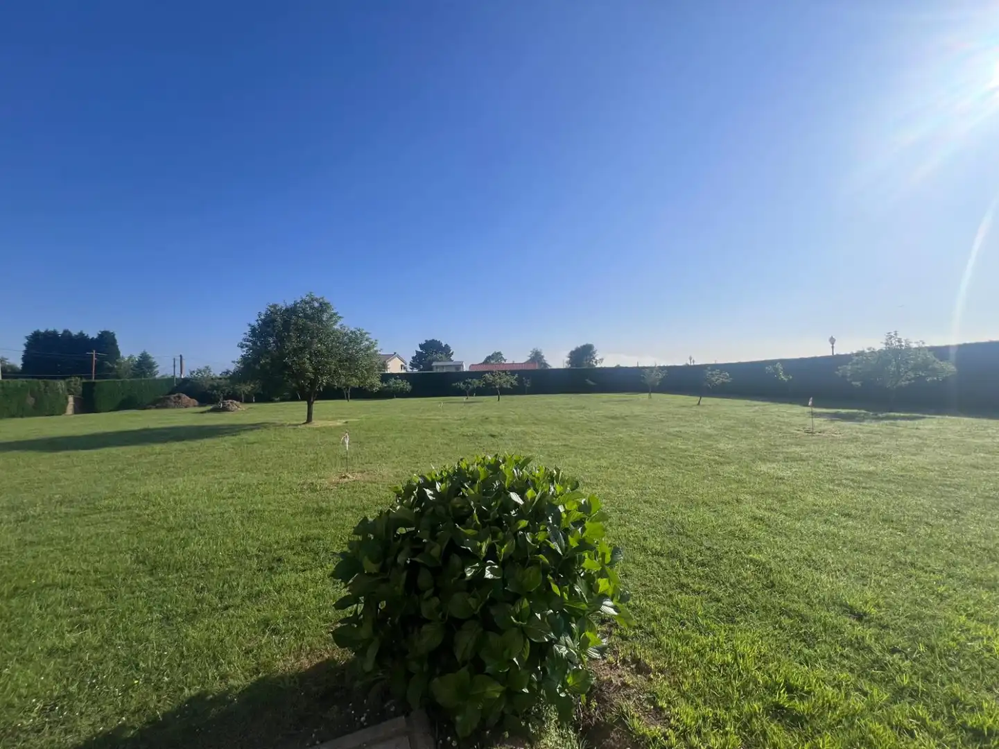 Residential land for sale in LG REBORIO 115, imagen 3