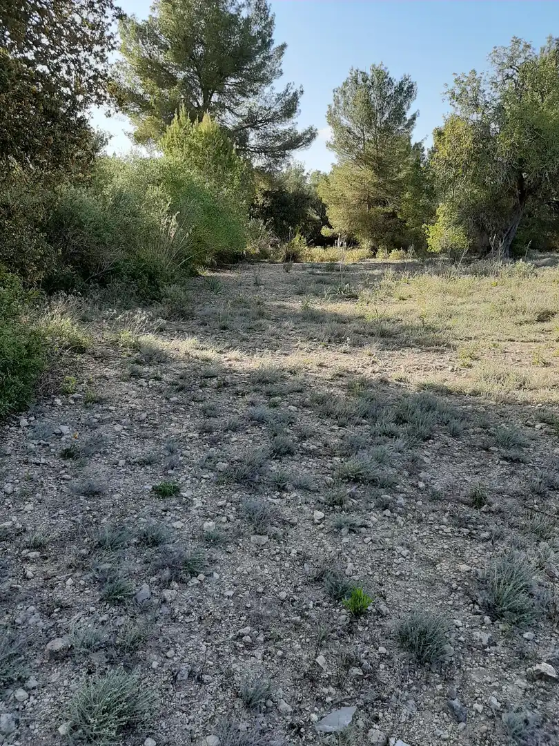 Terrain rustique à vendre à Sant Joan, imagen 11