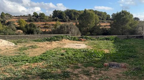 Amplio Solar en LAlzineta, Rodonya  Oportunidad de Inversión, immagine 4