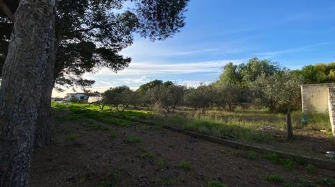 Foto 4 de Finca rústica en venda a Camino Abeto del (jb), 15, San Isidro - Campohermoso, Níjar
