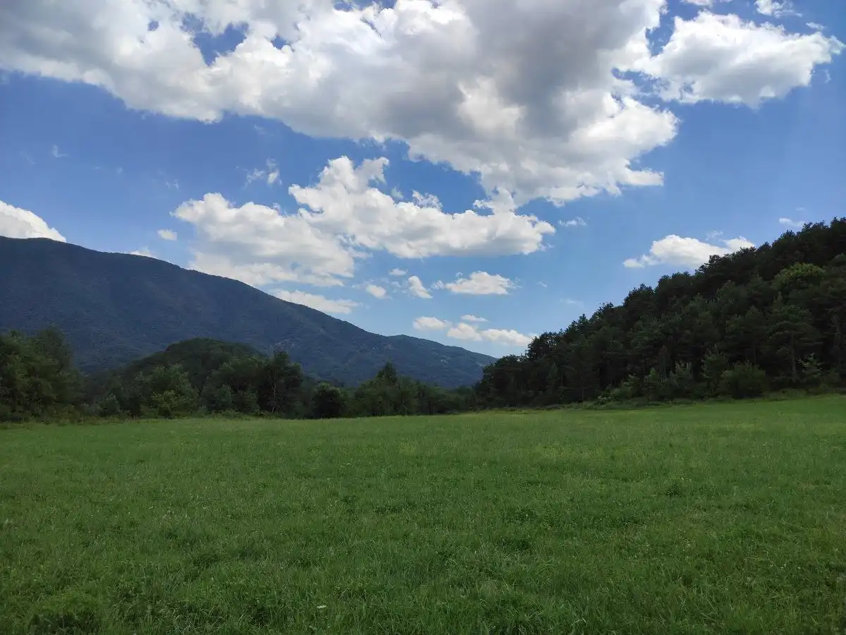 Vista exterior de Finca rústica en venta en Fiscal