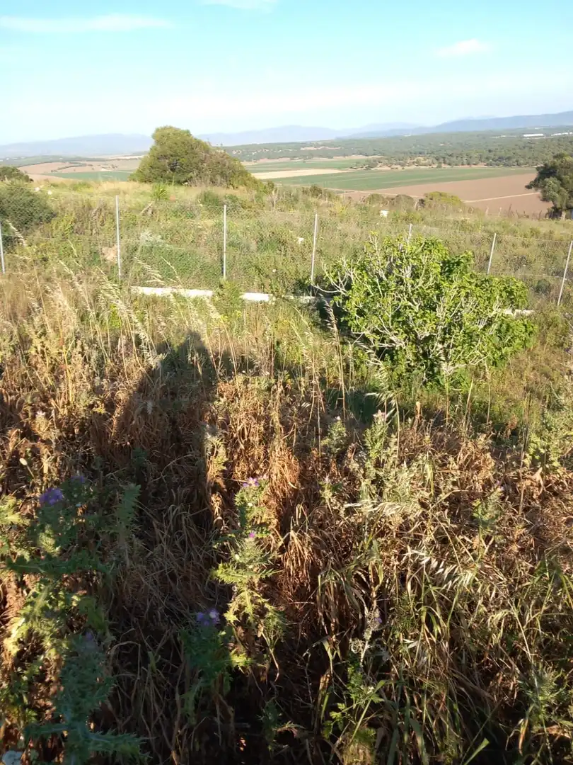 Terreny rústic en venda a El Palmar, imagen 22