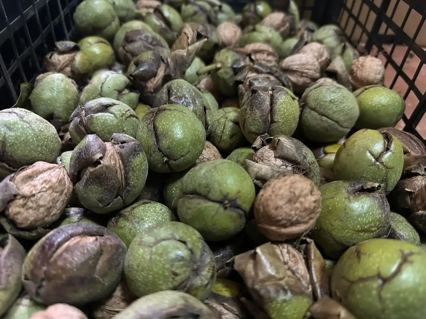Finca rústica en venda en Quintanar de la Orden amb Terrassa i Traster