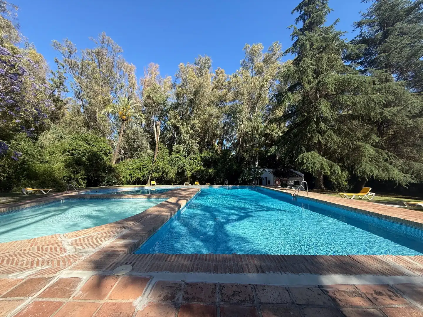Piscina de Apartament en venda en Marbella amb Aire condicionat, Terrassa i Piscina