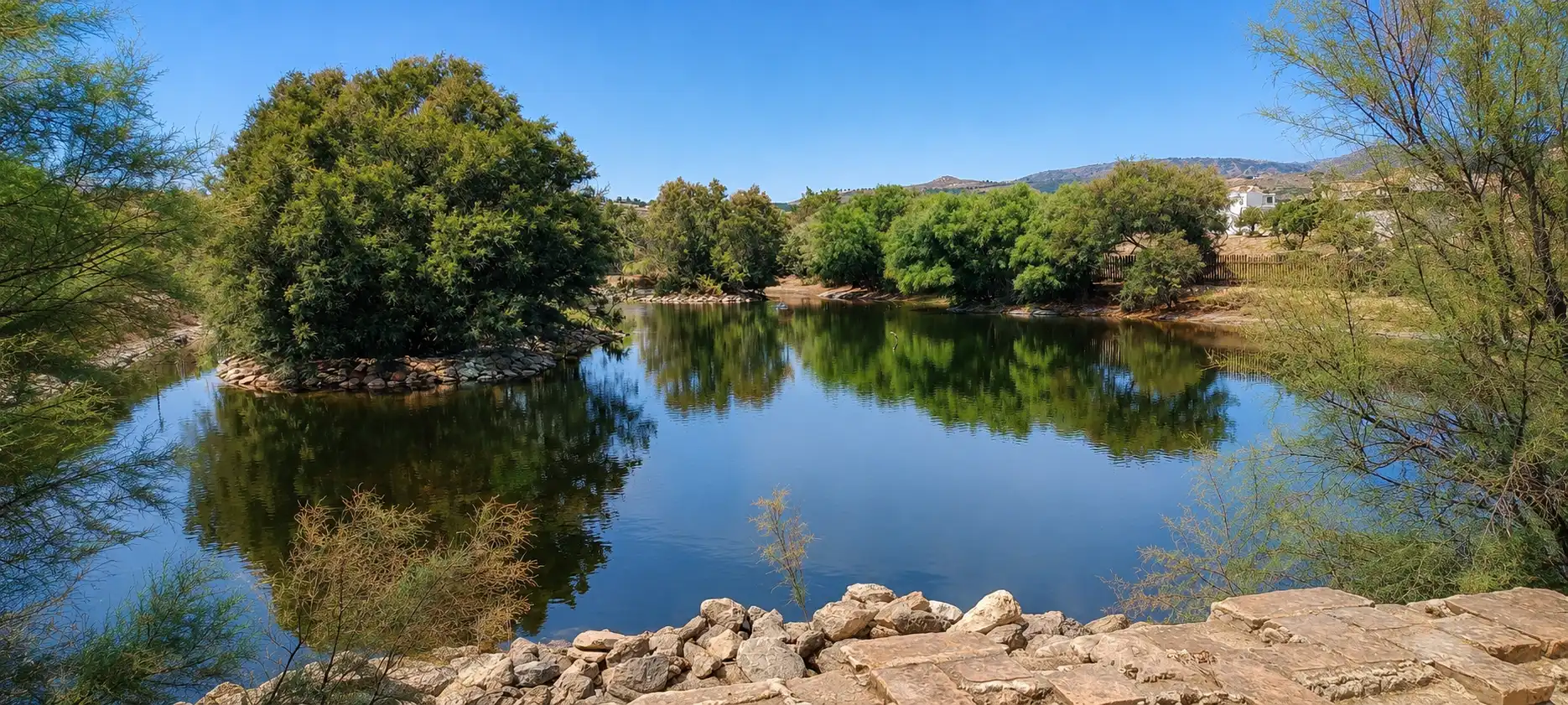 Vista exterior de Casa o xalet en venda en Los Gallardos amb Jardí privat i Piscina