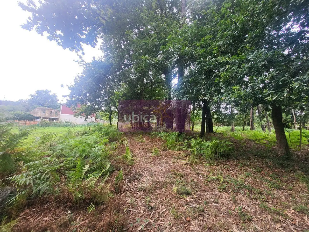Terreny residencial en venda a Salceda de Caselas, imagen 4