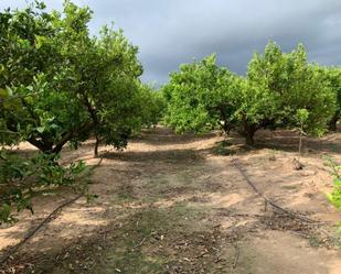 Finca rústica en venda en Tortosa