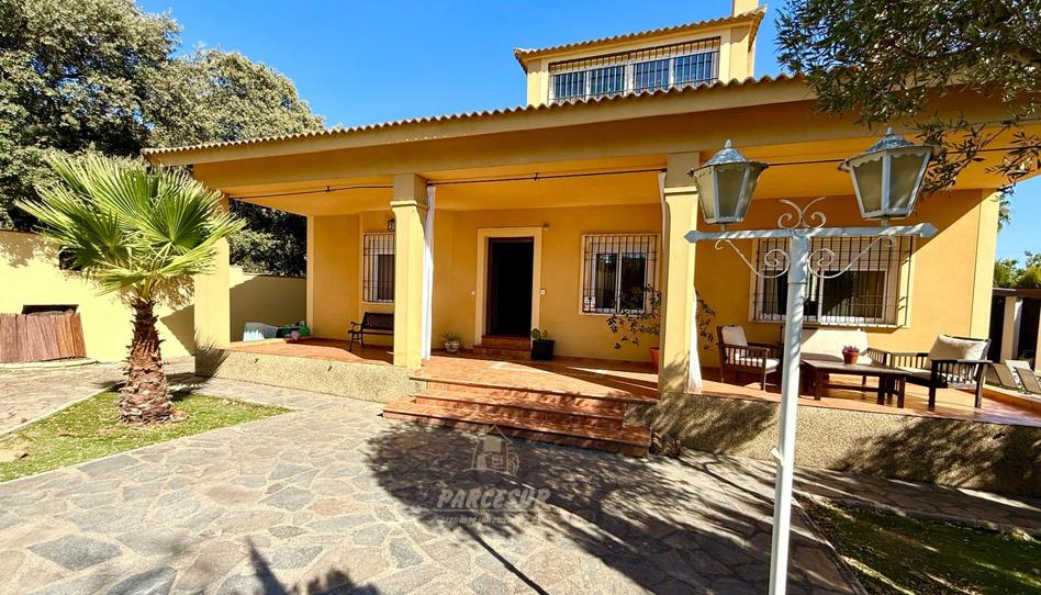Photo 1 of House or chalet to rent in Alcolea, Córdoba