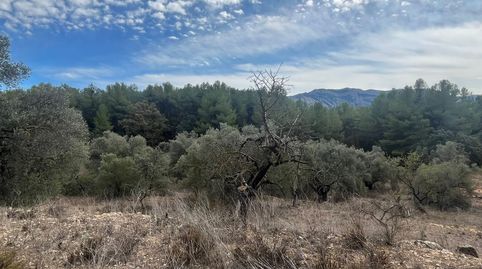 Finca en Horta de Sant Joan, imatge 4