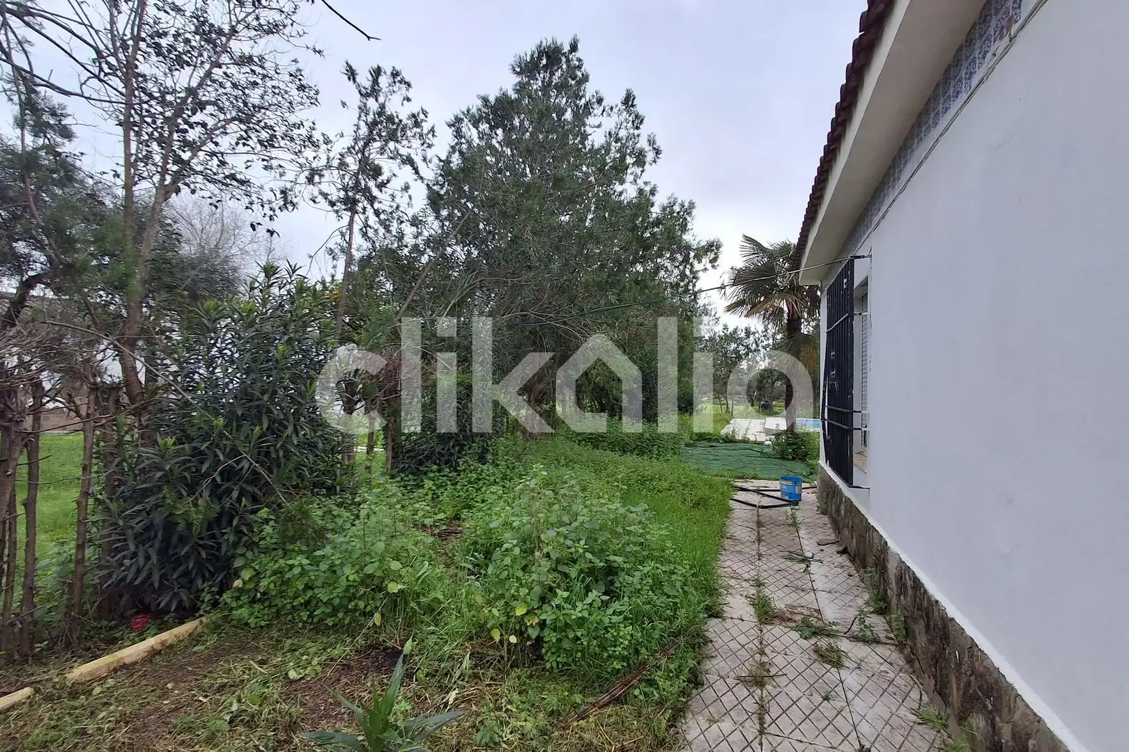 Casa o xalet en venda en Marchena amb Calefacció, Jardí privat i Piscina