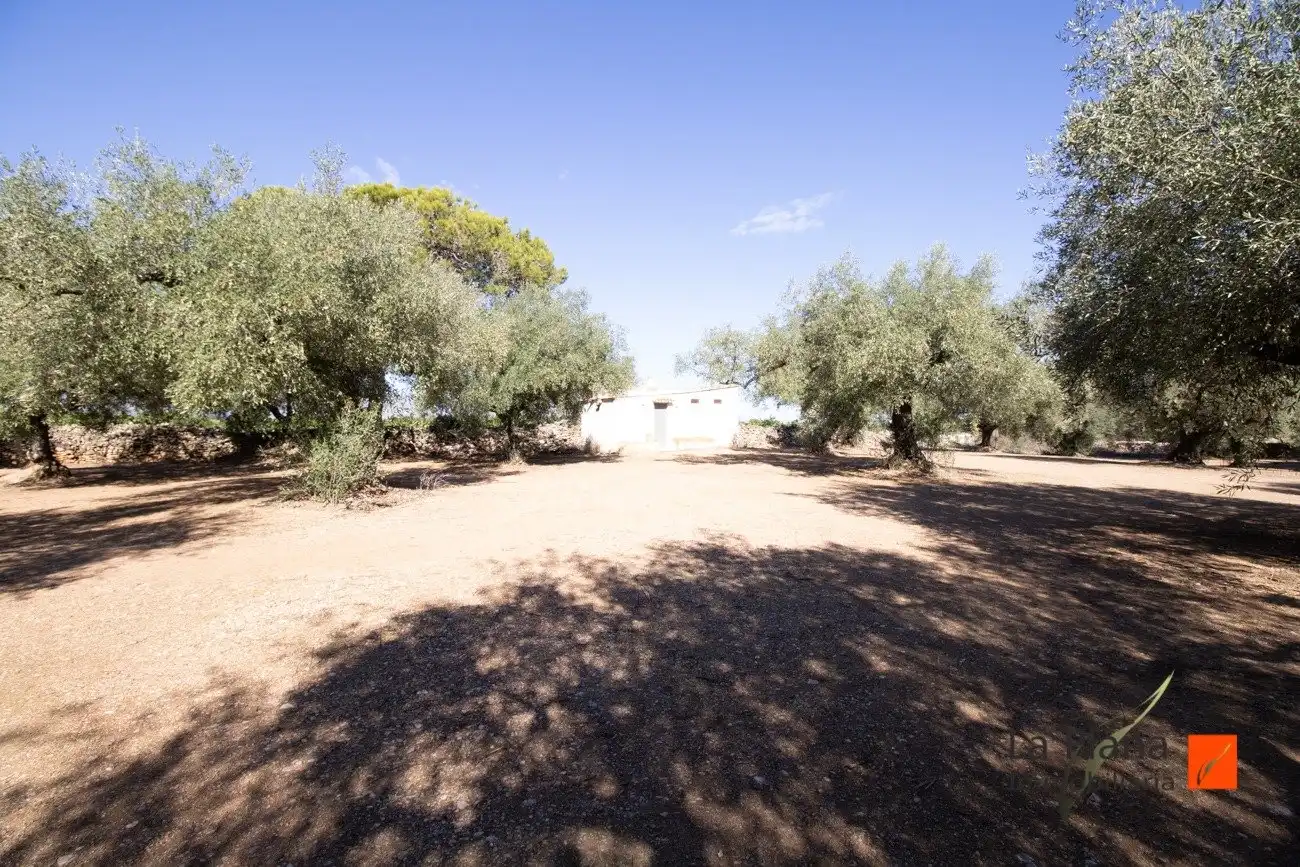 Terreno rustico in vendita a La Galera, imagen 8