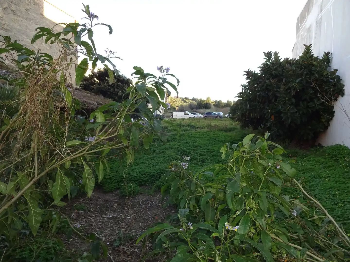 Casa en venda a Santa Margalida Poble, imagen 4