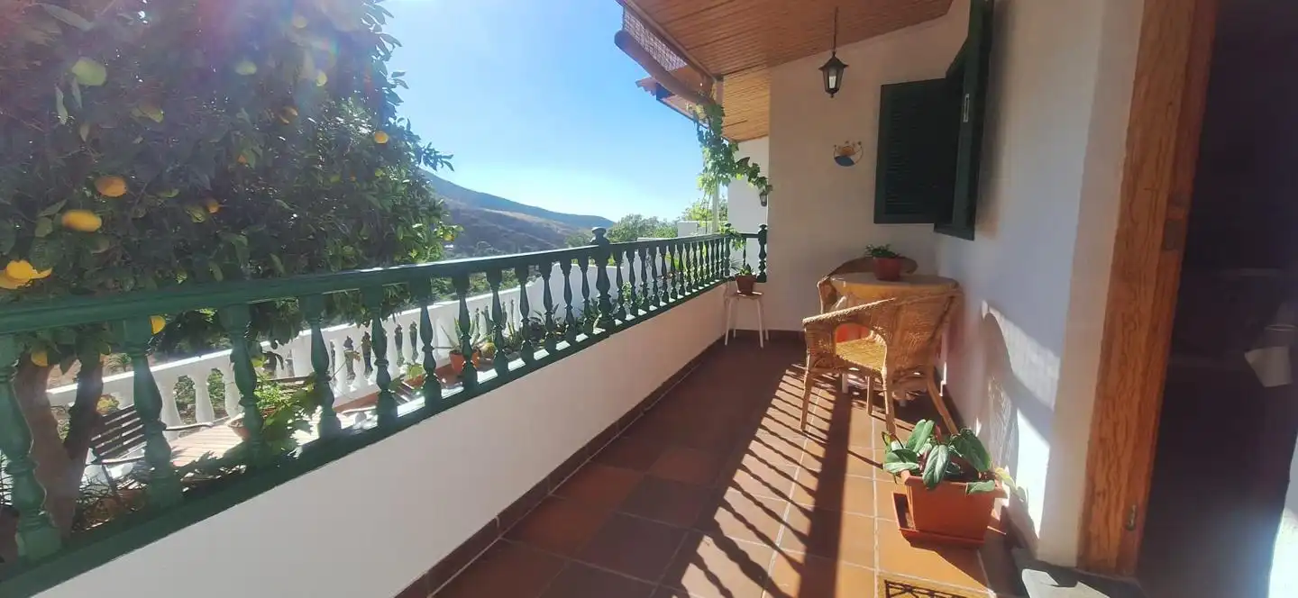 Casa o chalet de alquiler en Paseo de los Dragos, Agaete