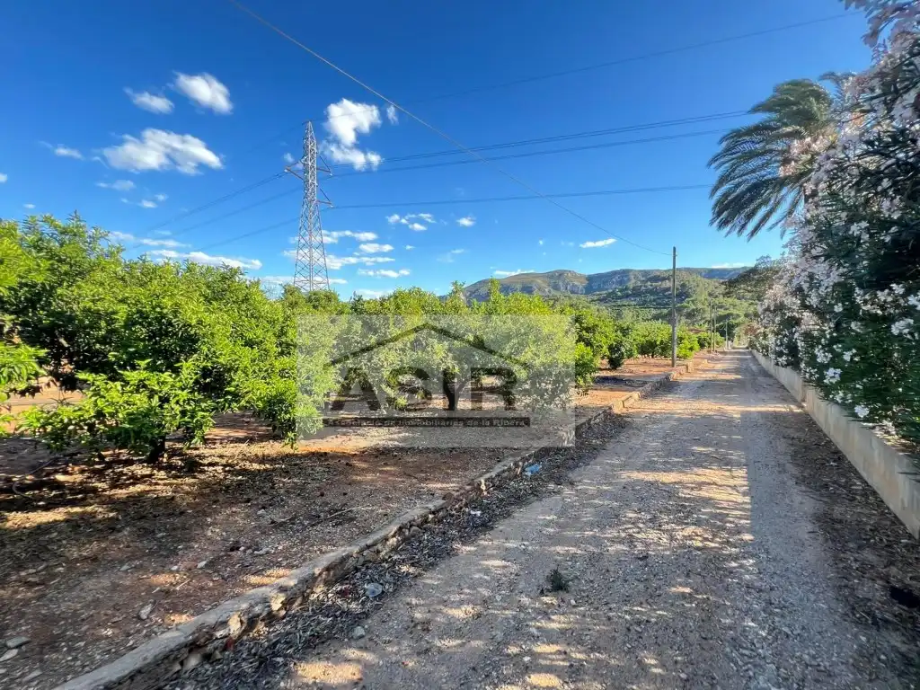 Vista exterior de Terreno en venta en Alzira