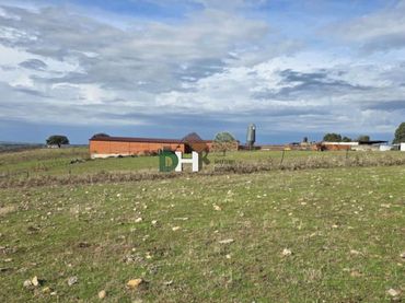 Terreni e lotti in vendita a Montesol - Mejostilla