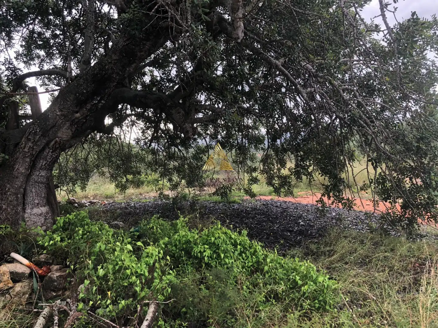 Lands and plots for sale in Las Atalayas - Urmi - Cerro de Mar, imagen 29