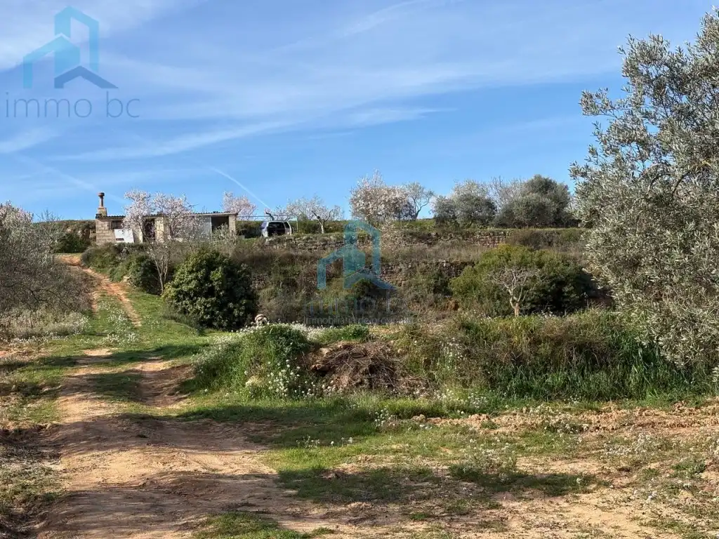 Finca rústica en venta en Gandesa