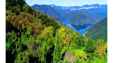 Hectáreas de terreno en el Pantà de Susqueda, imatge 3