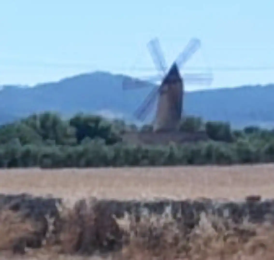 Vista exterior de Finca rústica en venda en Porreres