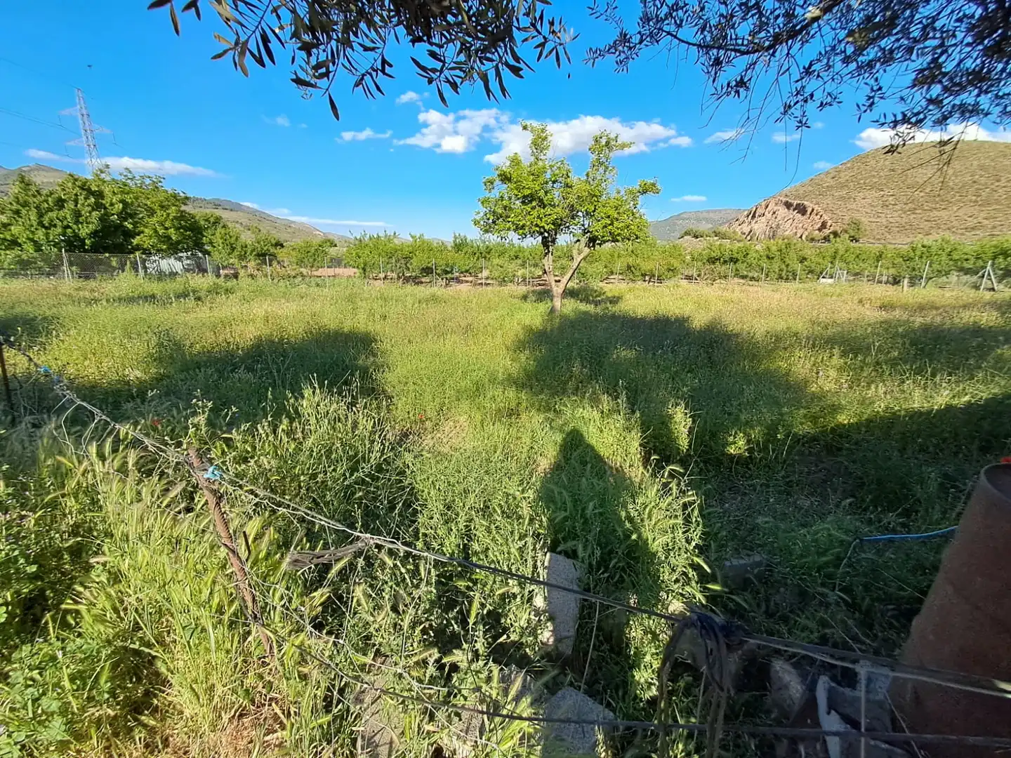 Finca rústica en venda en Laujar de Andarax